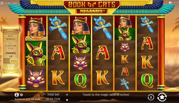 Slot machine Book of Cats Megaways (बिल्लियों की पुस्तक मेगावेज़)