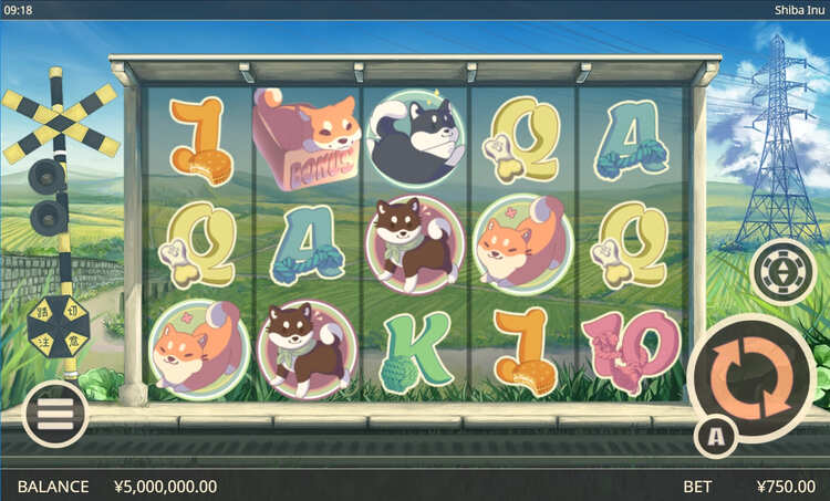 Slot machine Shiba Inu (शीबा इनु)