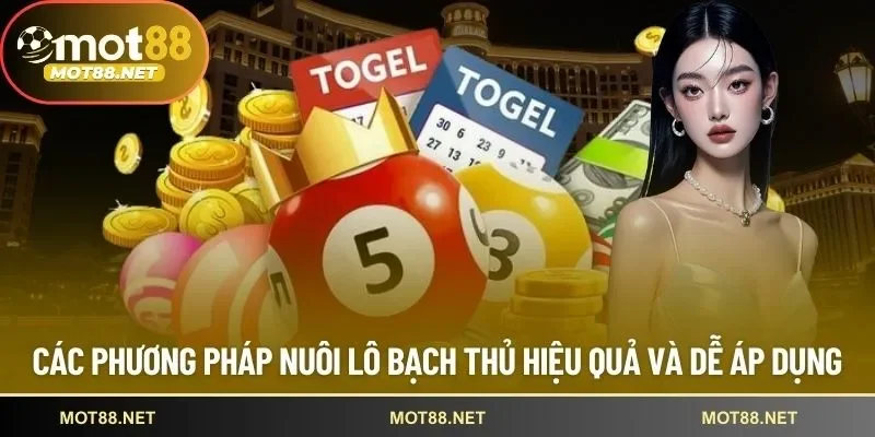 nuôi lô bạch thủ