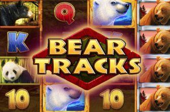 Slot machine Bear Tracks