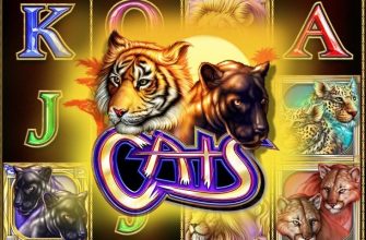 Slot machine Cats (Gatos)