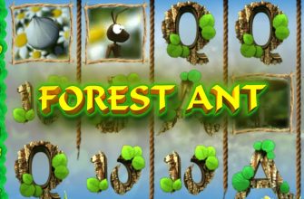 Slot machine Forest Ant (Formiga da Floresta)