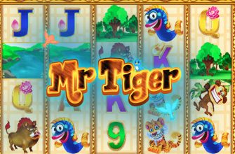 Slot machine Mr Tiger