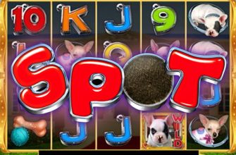 Slot machine Spot