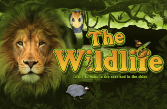Slot machine The Wildlife (A Vida Selvagem)