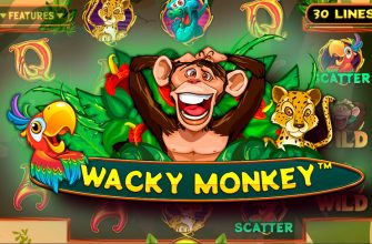 Slot machine Wacky Monkey