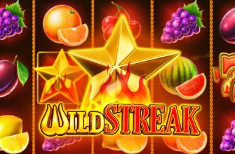 Slot machine Wild Streak