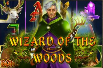 Slot machine Wizard of the Woods